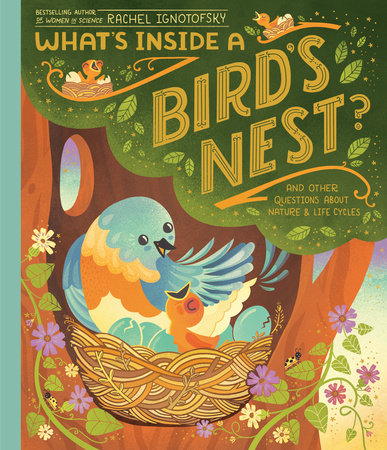 Whats Inside a Birds Nest?